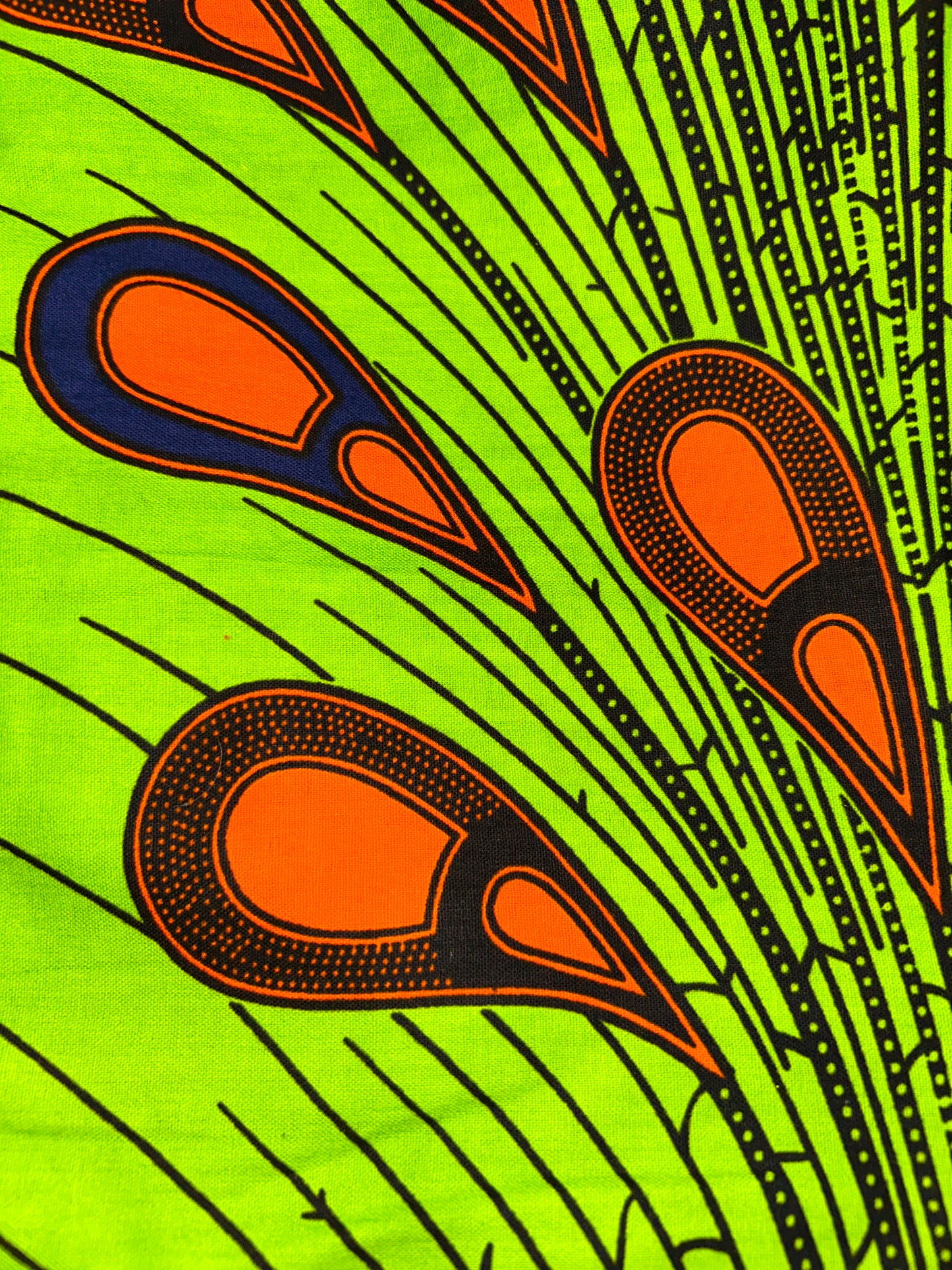 The Peacock